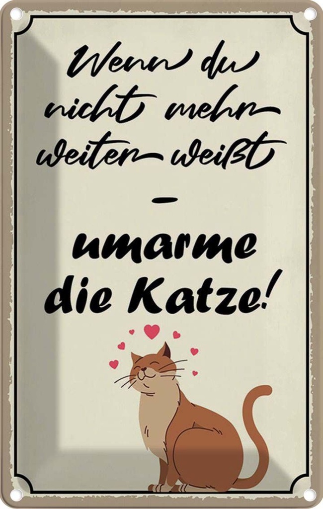 Blechschild 30x20 cm nicht weiter umarme die Katze Tier Haustier