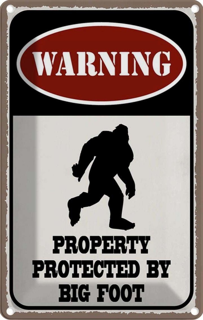 Blechschild 30x20 cm Warning property protected by Warnschild Hinweisschild Sicherheit Vorsicht