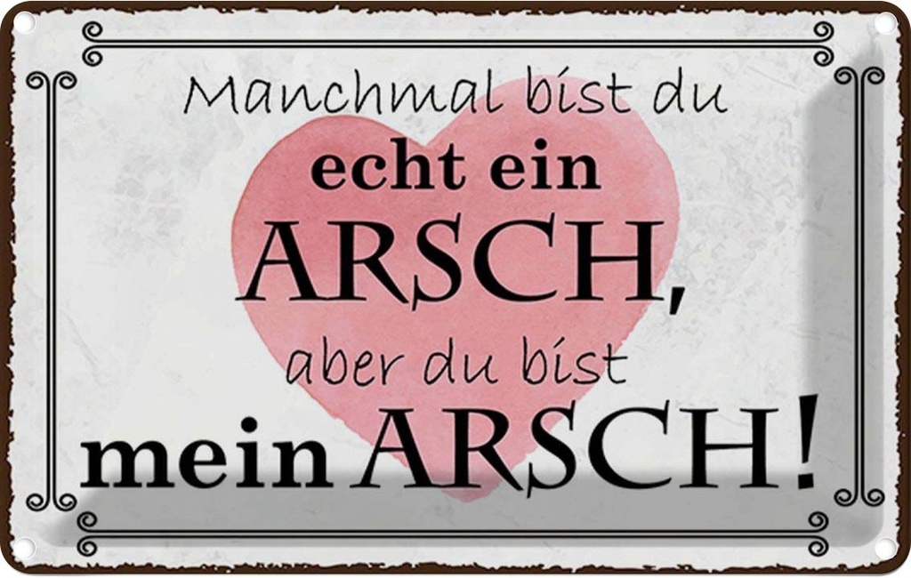 Blechschild 20x30 cm manchmal bist du ein ARSCH aber Spruch Zitat