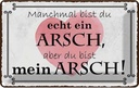 Blechschild 20x30 cm manchmal bist du ein ARSCH aber Spruch Zitat