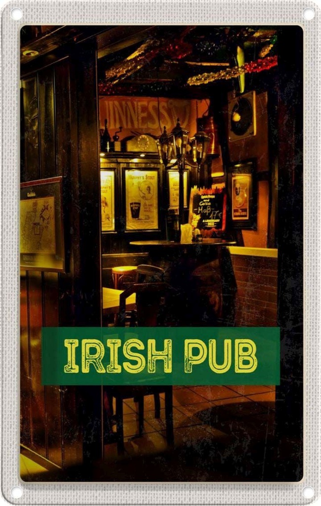 Blechschild 30x20 cm Irland Kneipe Irisches Pub Bier