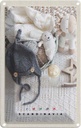 Blechschild 30x20 cm Skandinawien Europa Wollmütze Bär Bildmotiv Reisemotiv Abenteuer Reisen Urlaub