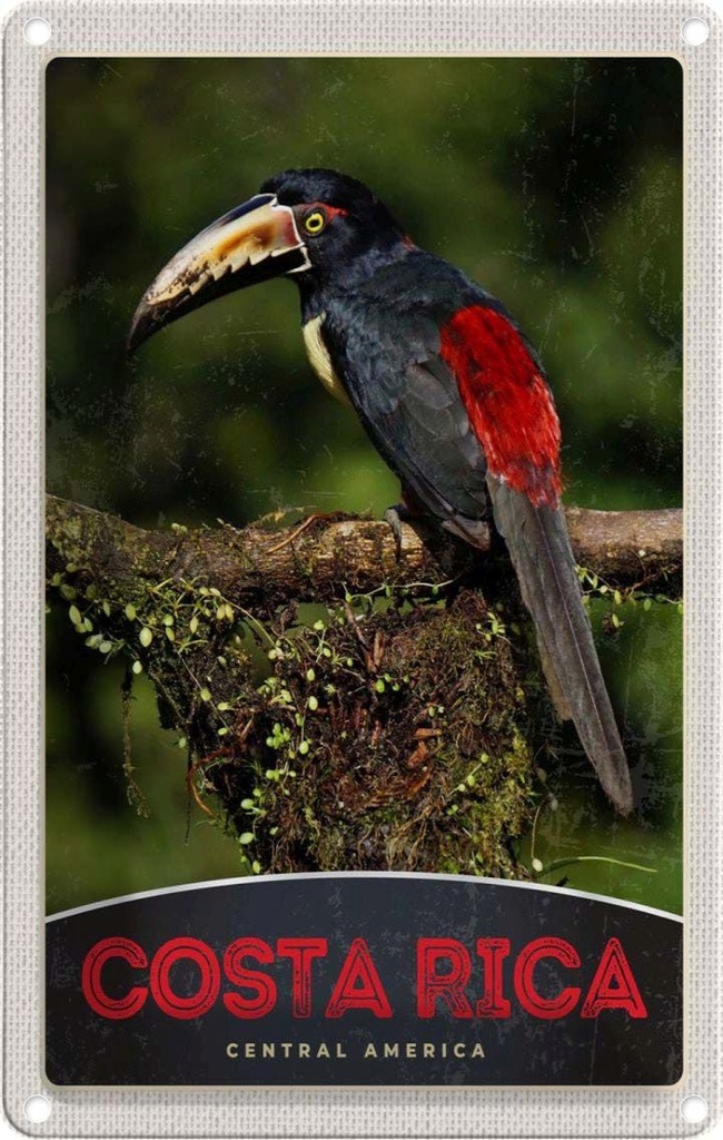 Blechschild 30x20 cm Costa Rica Urlaub Central America Vogel Natur Bildmotiv Reisemotiv Abenteuer Reisen
