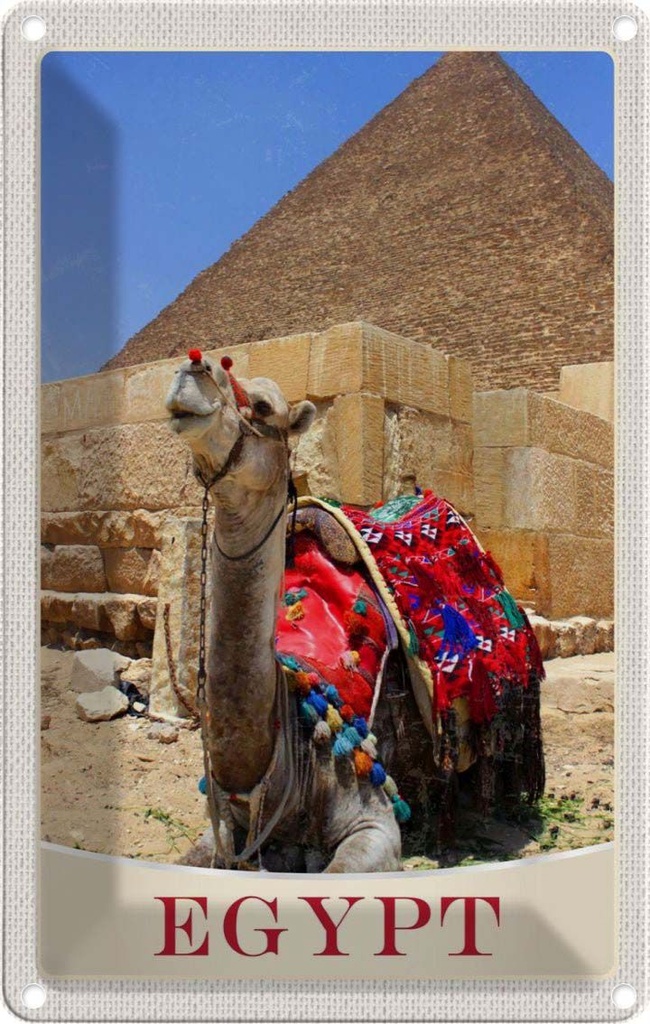 Blechschild 30x20 cm Ägypten Afrika Kamel Wüste Bildmotiv Reisemotiv Abenteuer Reisen Urlaub