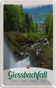 Blechschild 30x20 cm Giessbachfall Wald Wasserfall Natur Bildmotiv Reisemotiv Abenteuer Reisen Urlaub