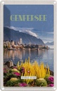 Blechschild 30x20 cm Genfersee Naturliebe Riesenrad Bildmotiv Reisemotiv Abenteuer Reisen Urlaub