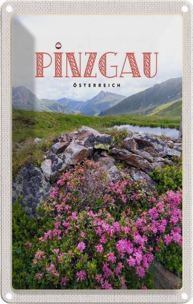 Blechschild 30x20 cm Pinzgau Österreich Blumen Natur Berge Bildmotiv Reisemotiv Abenteuer Reisen Urlaub