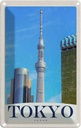 Blechschild 30x20 cm Tokyo Stadt Hochhaus Asien Bildmotiv Reisemotiv Abenteuer Reisen Urlaub