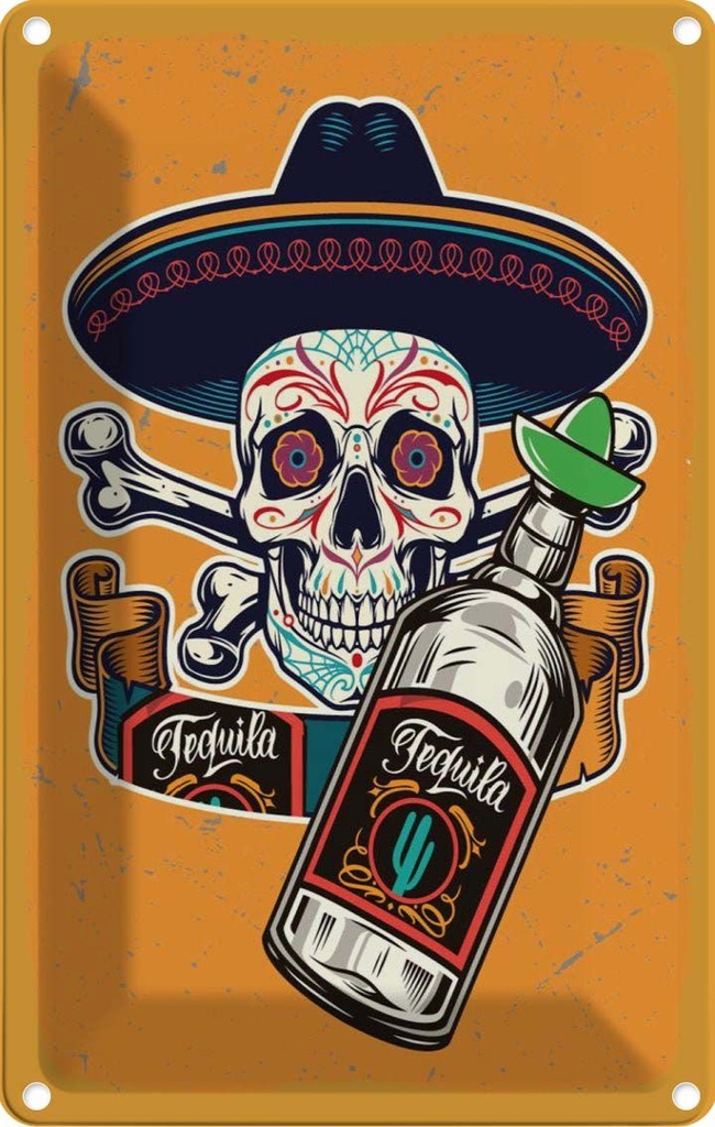 Blechschild 30x20 cm Totenkopf Tequila