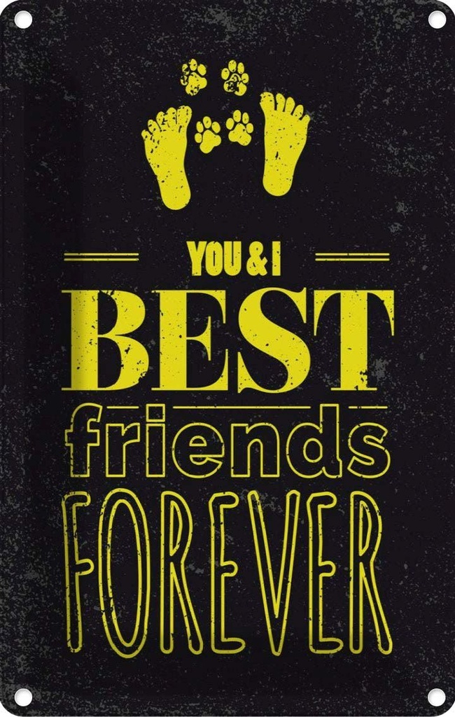 Blechschild 30x20 cm Freunde You I best friends forever