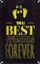 Blechschild 30x20 cm Freunde You I best friends forever