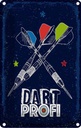Blechschild 30x20 cm Sportart Dart Profi Dartpfeile Spruch Zitat