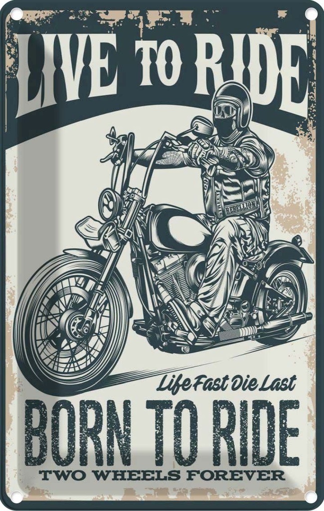 Blechschild 30x20 cm Biker Motorrad born to ride