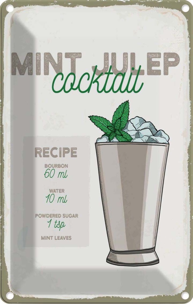 Blechschild 30x20 cm Mint Julep Cocktail Recipe