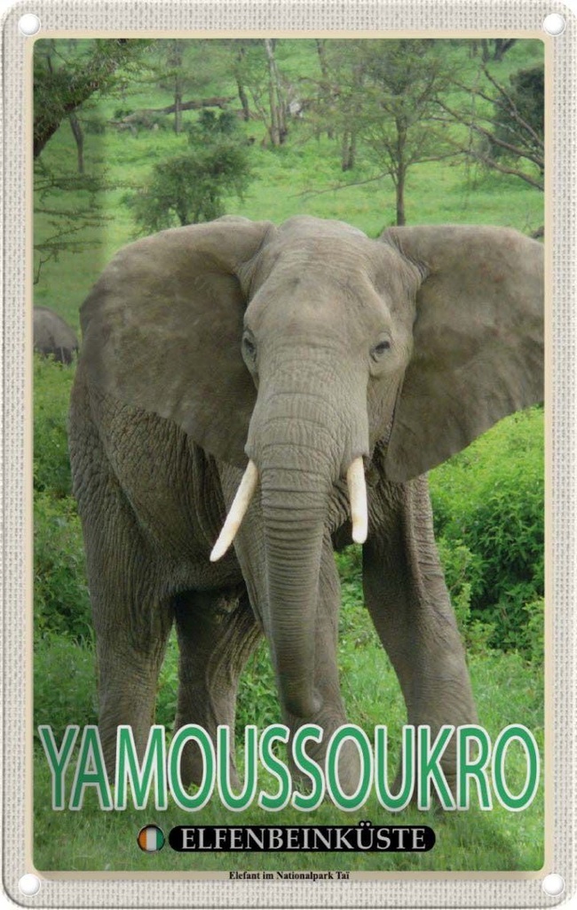 Blechschild 30x20 cm Yamoussoukro Elfenbeinküste Nationalpark Bildmotiv Reisemotiv Abenteuer Reisen Urlaub