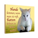 Holzschild 20x30 cm Hunde kommen Katzen kehren zurück Tier Haustier