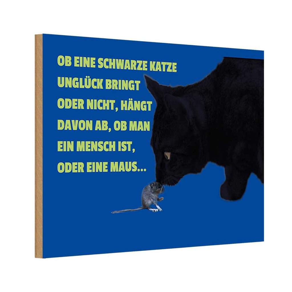 Holzschild 20x30 cm Menscch oder Maus Katze Tier Haustier