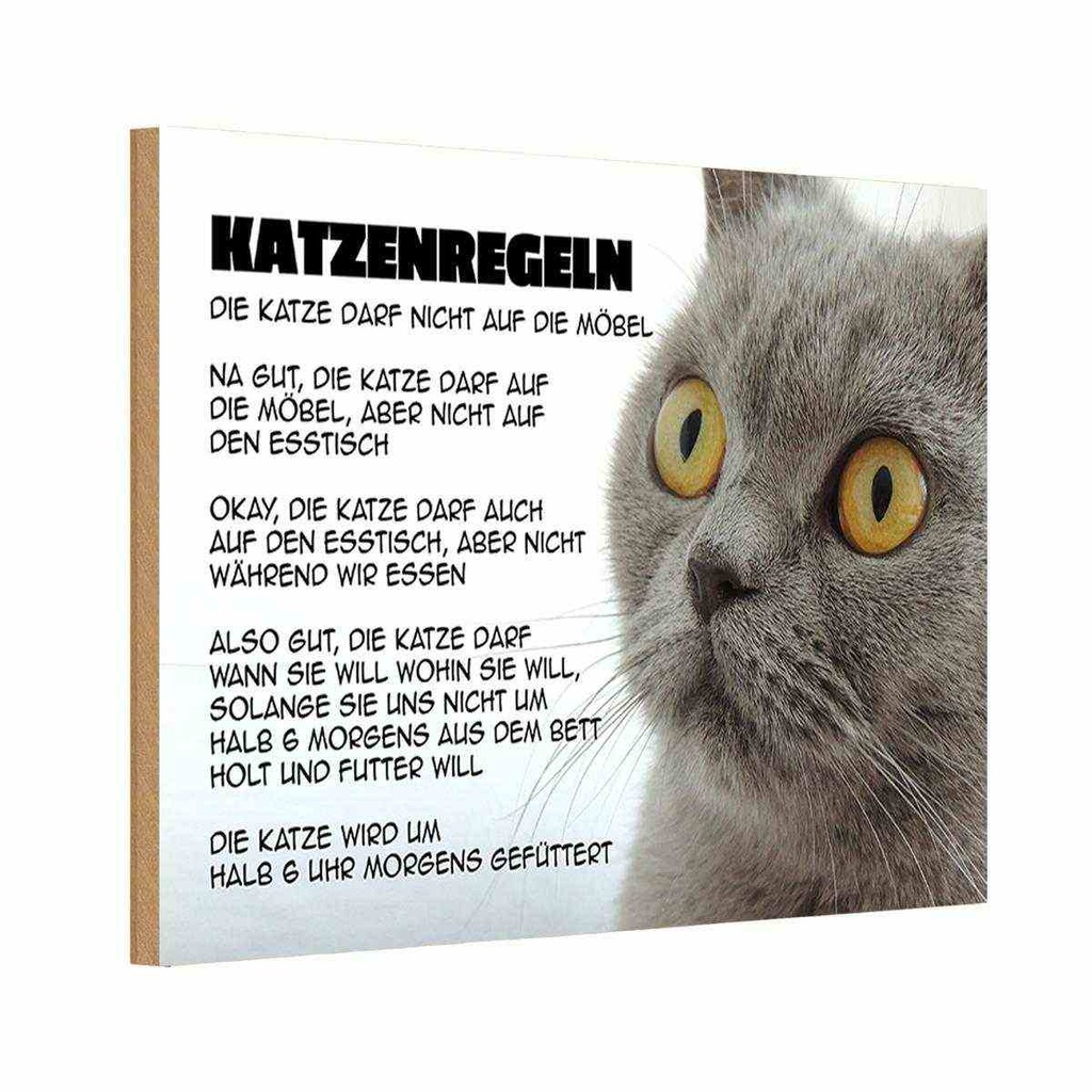 Holzschild 20x30 cm Katzenregeln Katze darf nicht Tier Haustier
