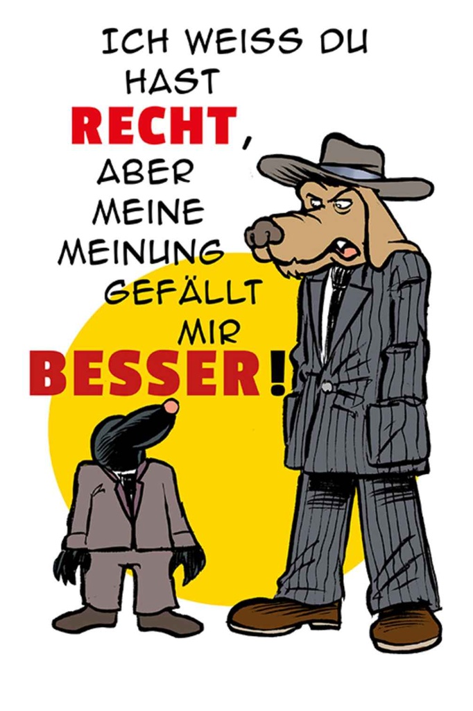 Holzschild 30x20 cm meine Meinung gefällt mir besser Spruch Zitat