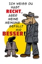 Holzschild 30x20 cm meine Meinung gefällt mir besser Spruch Zitat