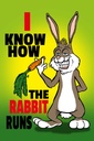 Holzschild 30x20 cm I know how the rabbit runs Hase Dedko Spruch Zitat
