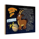 Holzschild 20x30 cm Sternzeichen Steinbock Planet Saturn Dekoration