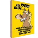 Holzschild 30x20 cm Ein Pferd weiss wann fröhlich Tier Haustier