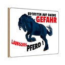 Holzschild 20x30 cm launisches Pferd Gefahr Tier Haustier