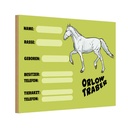 Holzschild 20x30 cm Pferd Orlow Traber Name Besitzer Rasse Tier Haustier