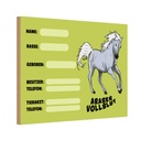 Holzschild 20x30 cm Pferd Araber Vollblut Name Besitzer Tier Haustier