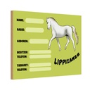Holzschild 20x30 cm Pferd Lippizaner Angaben Name Besitzer Tier Haustier