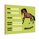 Holzschild 20x30 cm Pferd Andalusier Name Besitzer Rasse Tier Haustier