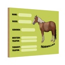 Holzschild 20x30 cm Pferd Fuchswallach Name Besitzer Rasse Tier Haustier
