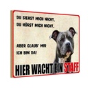 Holzschild 20x30 cm Hund Hier wacht ein Staff Tier Haustier