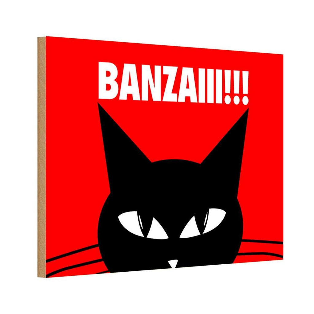 Holzschild 20x30 cm Katze Banzaiii!!! Tier Haustier