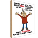Holzschild 30x20 cm ärgere dich nicht wenn ein Vogel