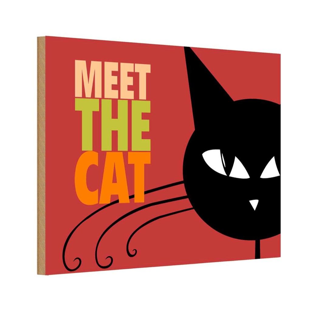 Holzschild 20x30 cm Katze Meet the cat Tier Haustier