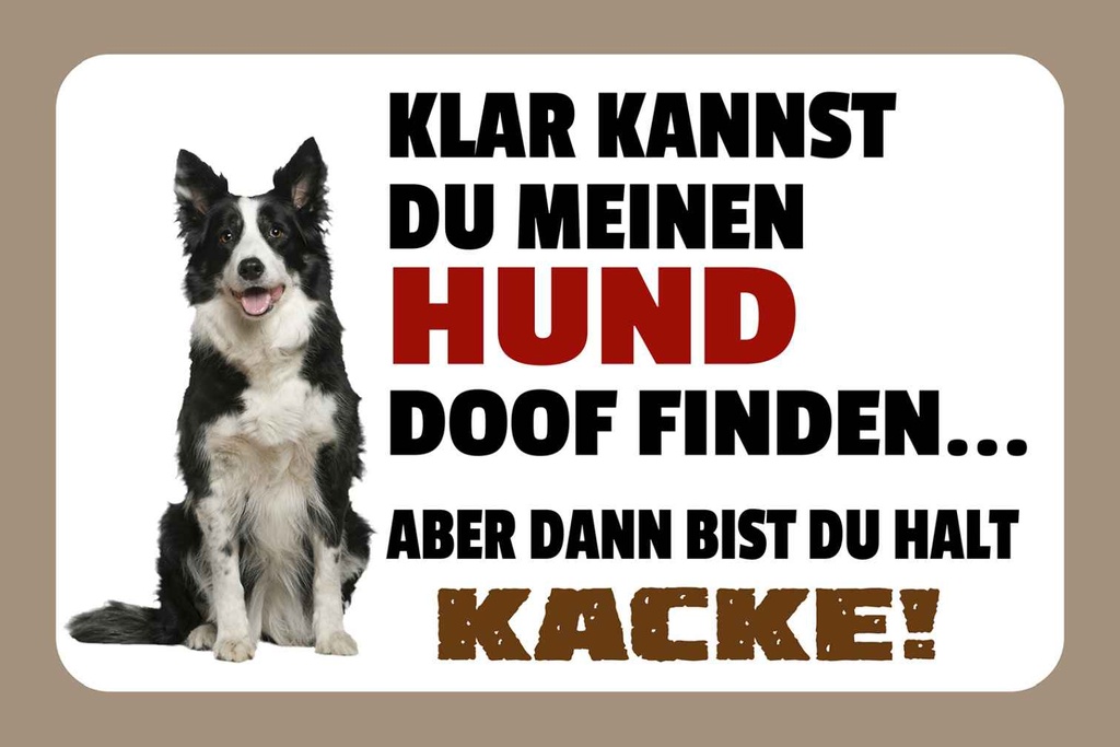 Holzschild 20x30 cm klar kannst du Hund doof finden Spruch Zitat