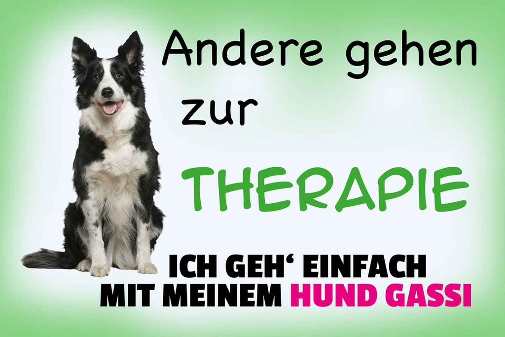 Holzschild 20x30 cm ich geh' mit meinem Hund Gassi Tier Haustier