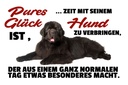 Holzschild 20x30 cm pures Glück ist Zeit mit Hund Tier Haustier