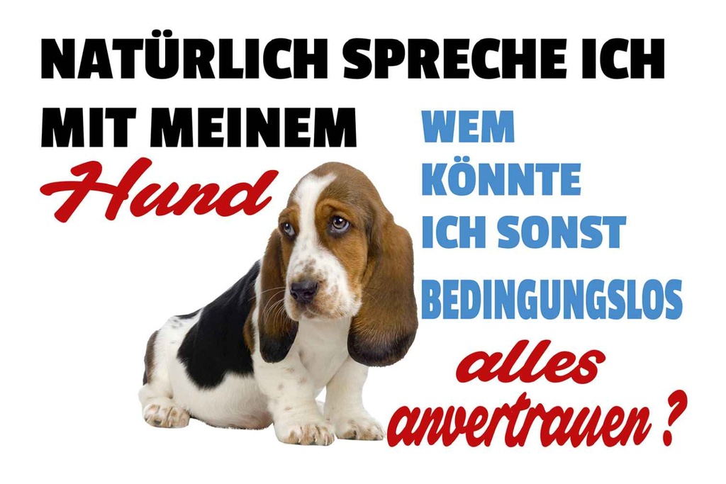Holzschild 20x30 cm natürlich spreche ich mit Hund Tier Haustier