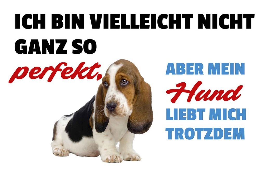 Holzschild 20x30 cm mein Hund liebt mich trotzdem Tier Haustier