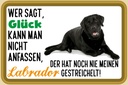 Holzschild 20x30 cm Glück nicht anfassen Labrador Dekoration