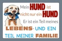 Holzschild 20x30 cm Hund ist Teil meines Lebens Tier Haustier