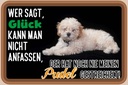 Holzschild 20x30 cm Glück nicht anfassen Pudel Hund Spruch Zitat