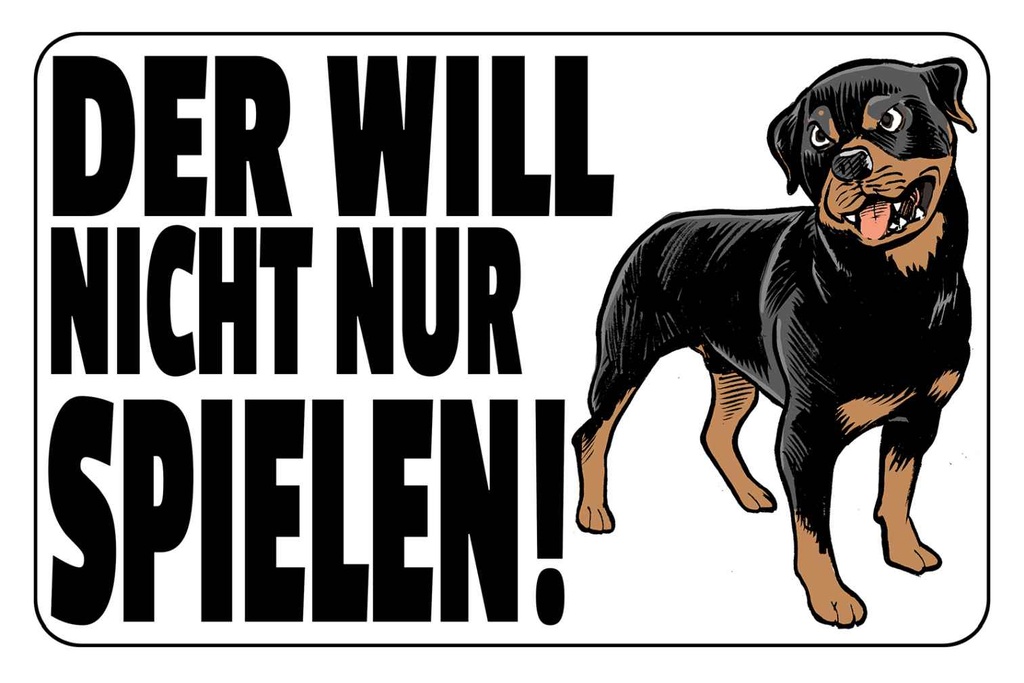 Holzschild 20x30 cm Hund will nicht nur spielen Tier Haustier