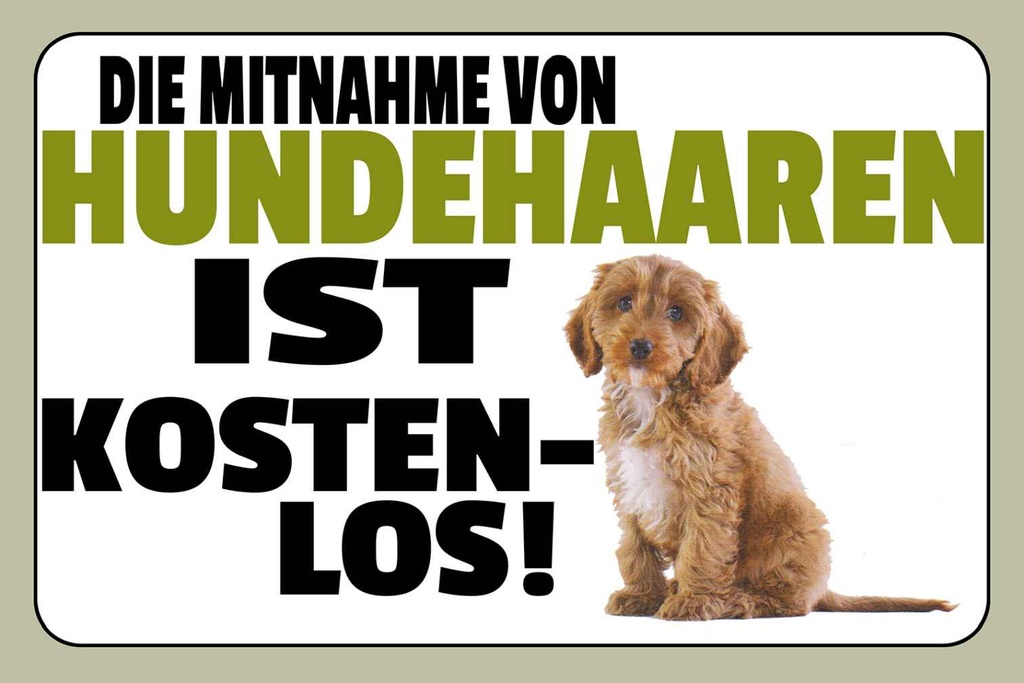 Holzschild 20x30 cm Mitnahme Hundehaaren kostenlos Warnschild Hinweisschild