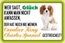 Holzschild 20x30 cm Cavalier King Charles Spaniel Tier Haustier