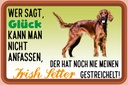 Holzschild 20x30 cm Glück Irish Setter Hund Tier Haustier