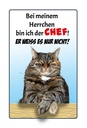 Holzschild 30x20 cm Katze bei meinem Herrchen Chef Tier Haustier